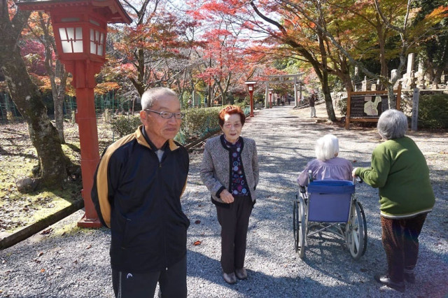 秋の紅葉散歩 秋の紅葉散歩