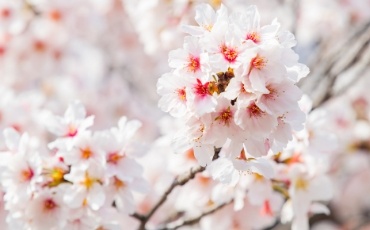4月